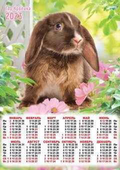 Календарь - плакат А2 2023 Год кролика (фото)