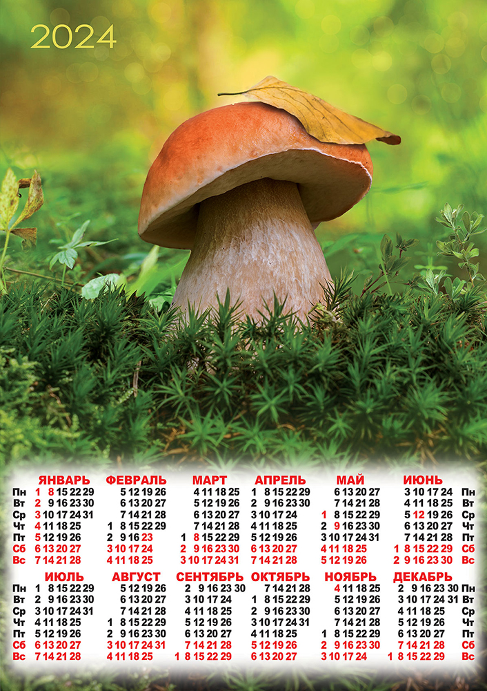 Календарь - плакат А2 2024 Грибы
