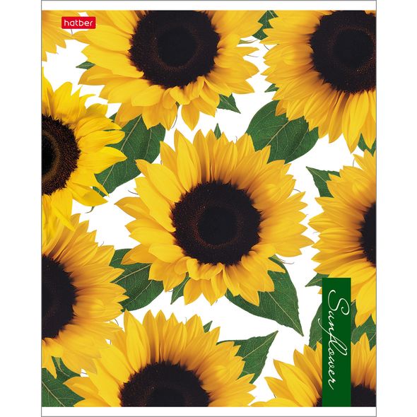 Тетр. 80л Хатбер глянц.лам. "Sunflowers"