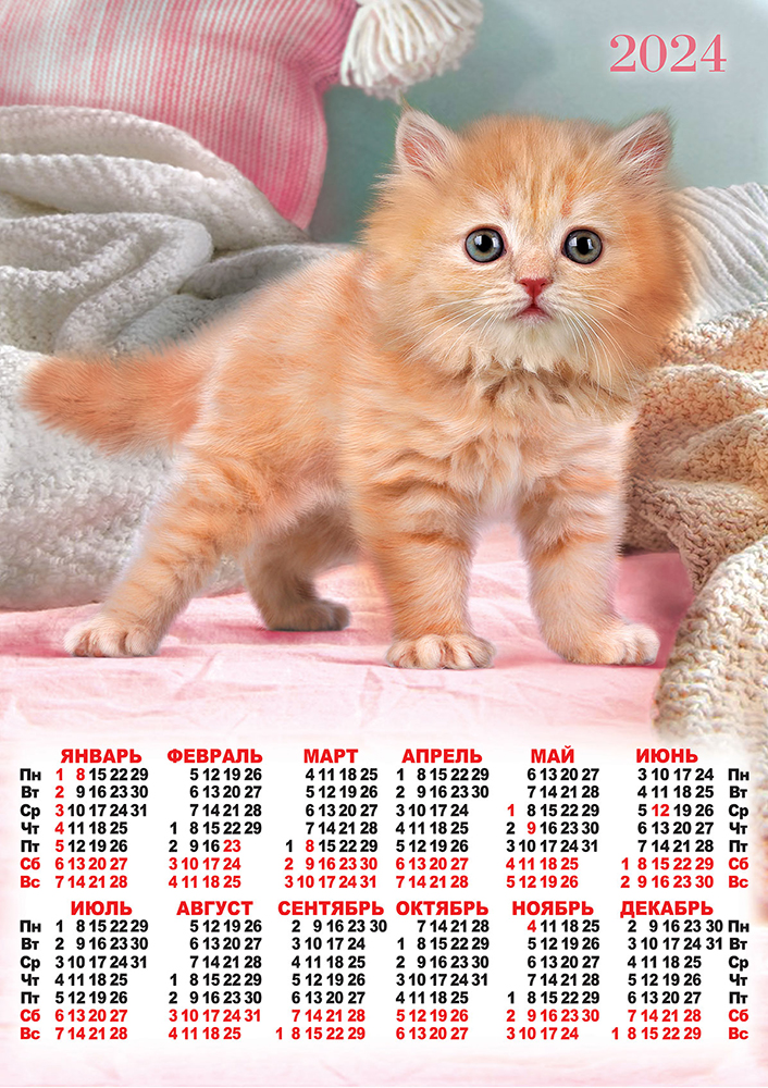 Календарь - плакат А2 2024 Кошки