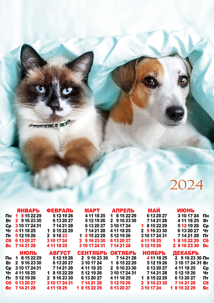 Календарь - плакат А2 2024 Кошки и собаки